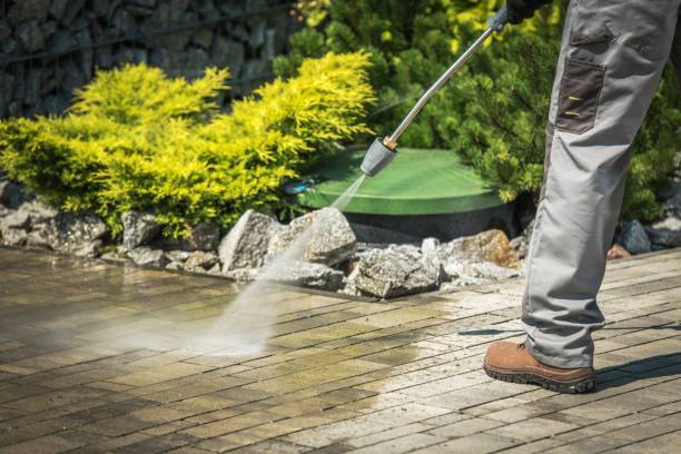 Best Roof Washing  in Baldwin, FL
